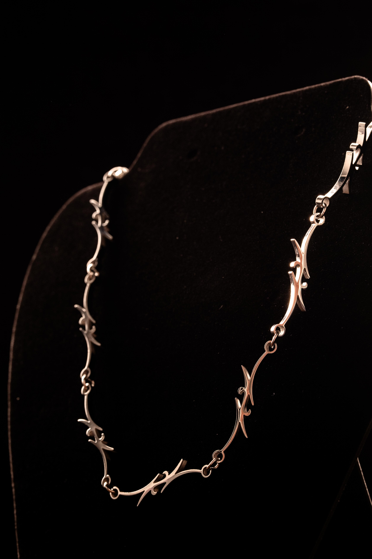 Crescent Stainless Steel Necklace